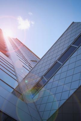 Business <br>Litigation